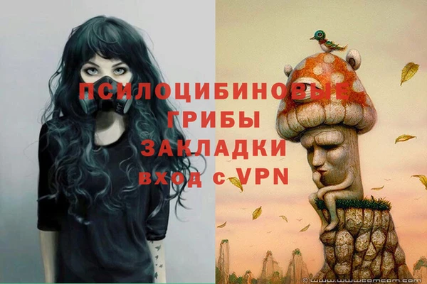 spice Навашино