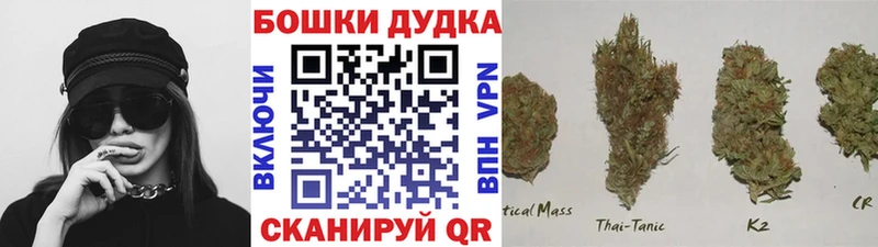 Бошки марихуана сатива  цены   Заволжск 